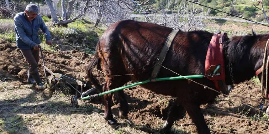 Köyün en genci 50 yaşında: Genç nüfus kalmaması en büyük sorunları 2